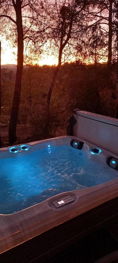 Gite Avec Spa Jacuzzi Au Coeur De Provence Cote D'Azur Saint-Antonin-du-Var Екстер'єр фото
