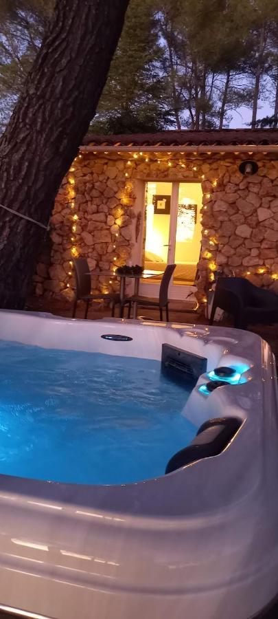 Gite Avec Spa Jacuzzi Au Coeur De Provence Cote D'Azur Saint-Antonin-du-Var Екстер'єр фото